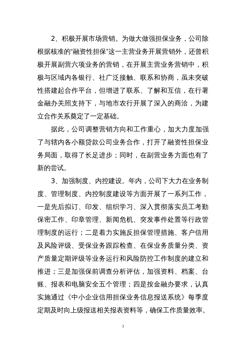 年度担保公司工作总结 行业总结汇总报告_第3页