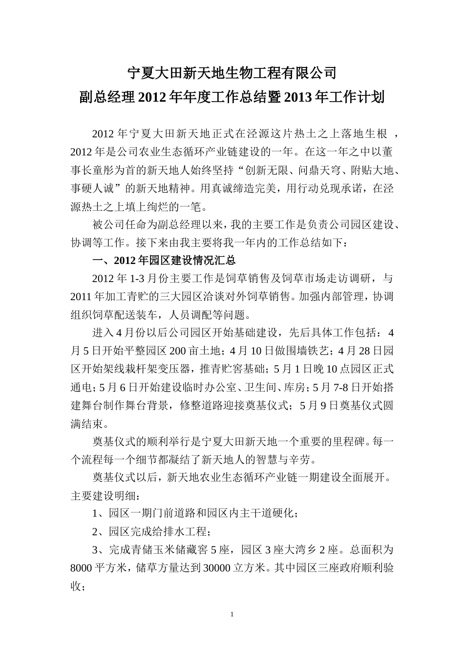 副总经理年度工作总结及计划 行业总结汇总报告_第1页