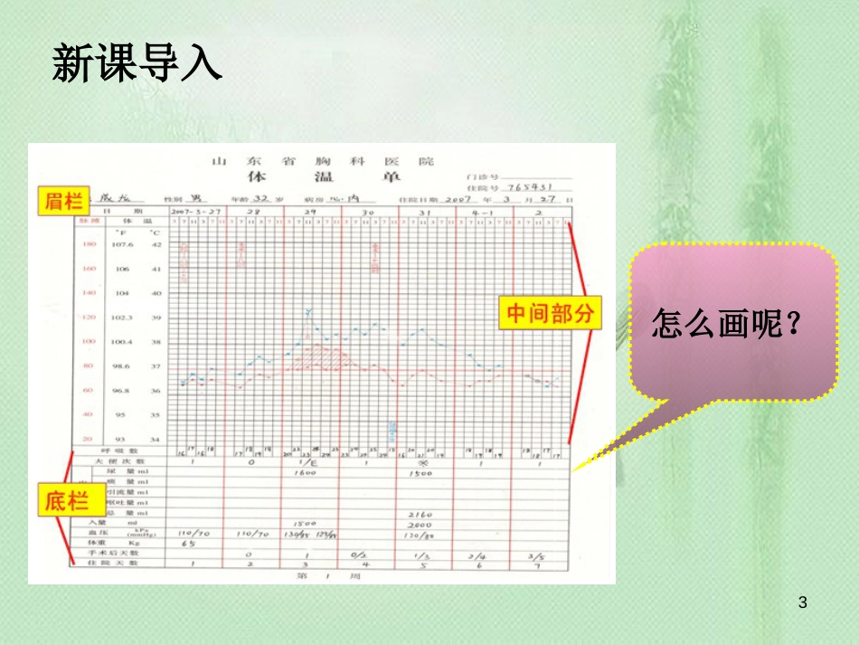 体温单的绘制[共29页]_第3页