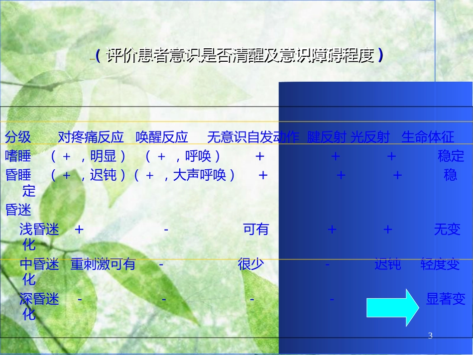 神经系统查体[共77页]_第3页