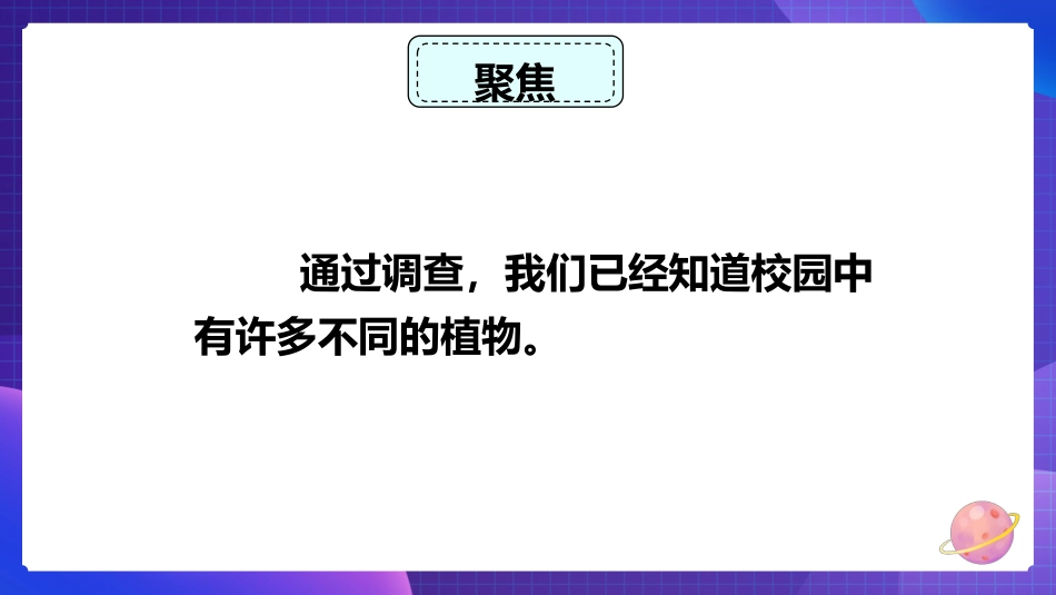 2024年新教科版六年级下册《科学》3.形形色色的植物 课件_第2页