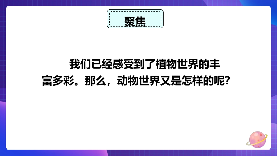 2024年新教科版六年级下册《科学》4.多种多样的动物 课件_第2页