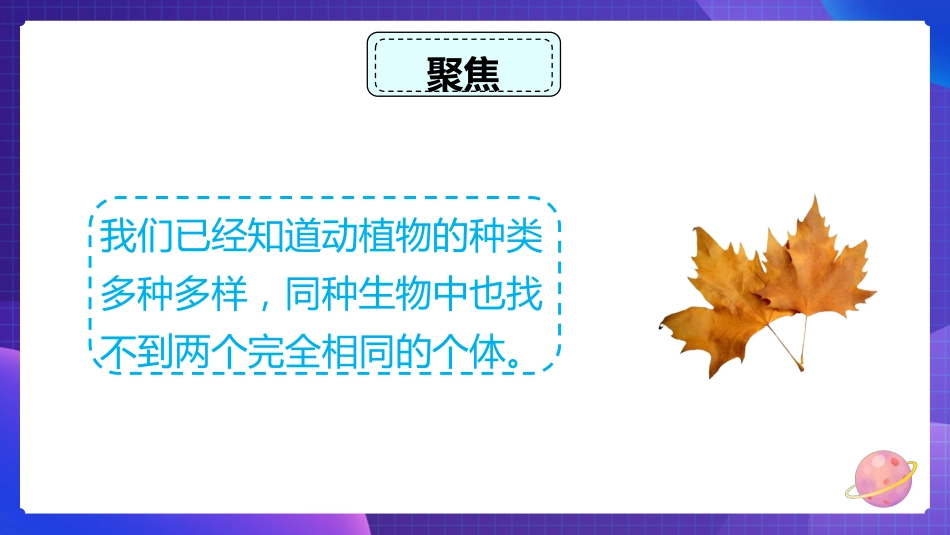 2024年新教科版六年级下册《科学》5.相貌各异的我们 课件_第3页