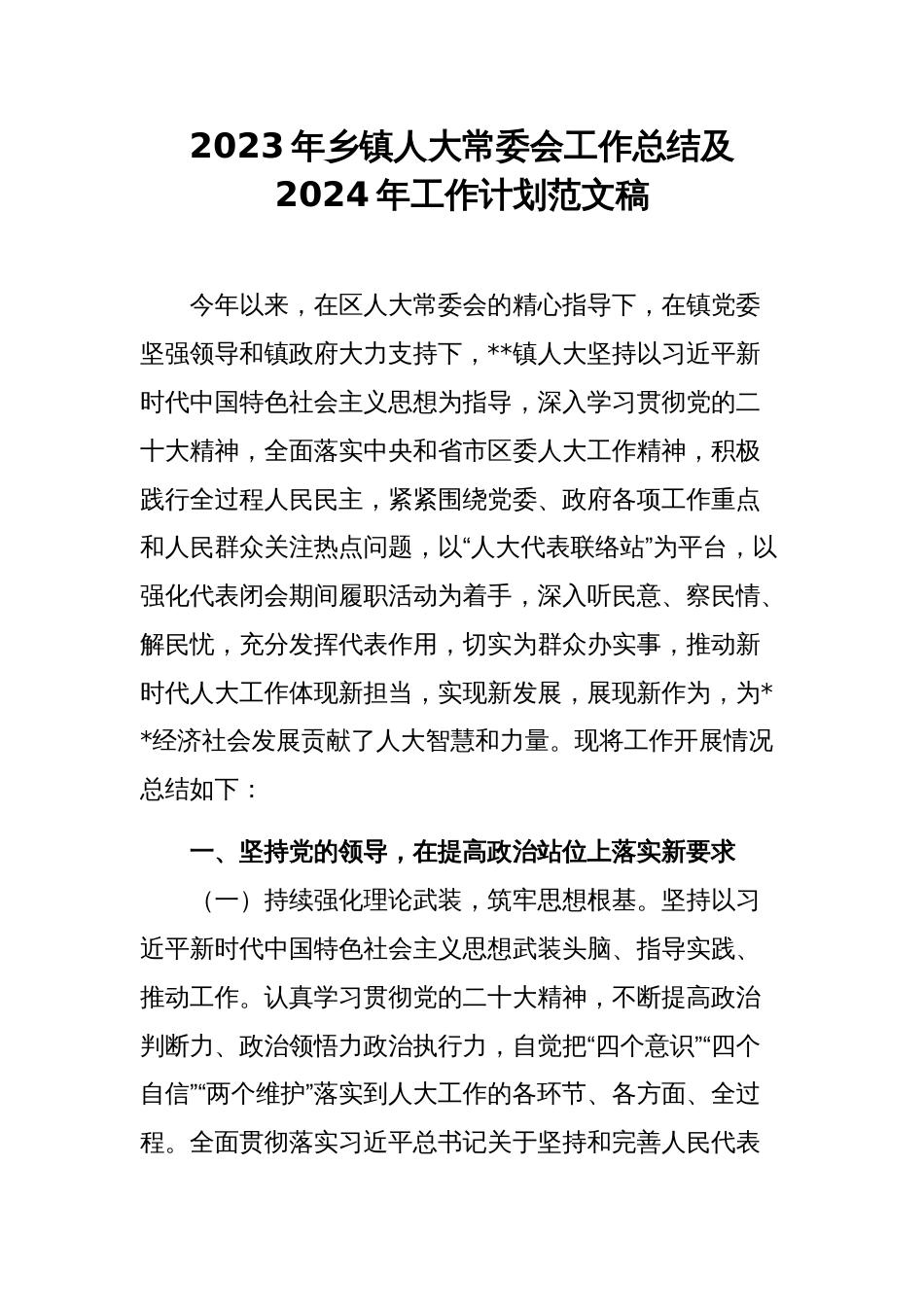 2023年乡镇人大常委会工作总结及2024年工作计划范文稿_第1页