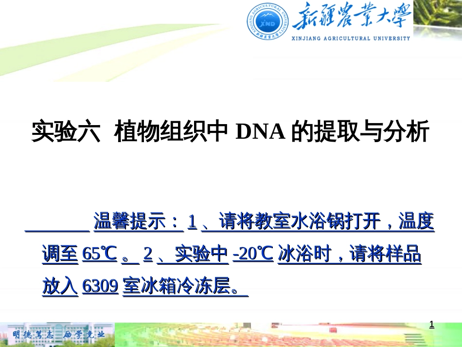 实验六 植物组织基因组DNA的提取与分析(CTAB法)[共12页]_第1页