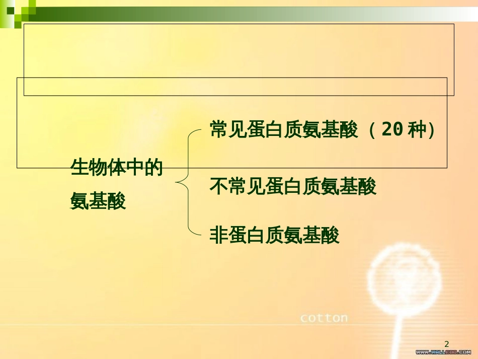 生物化学知识点总结[共124页]_第2页