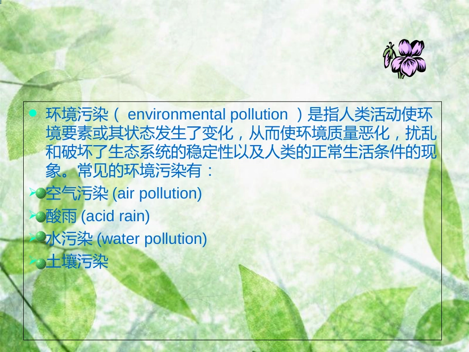 生物多样性[共56页]_第3页