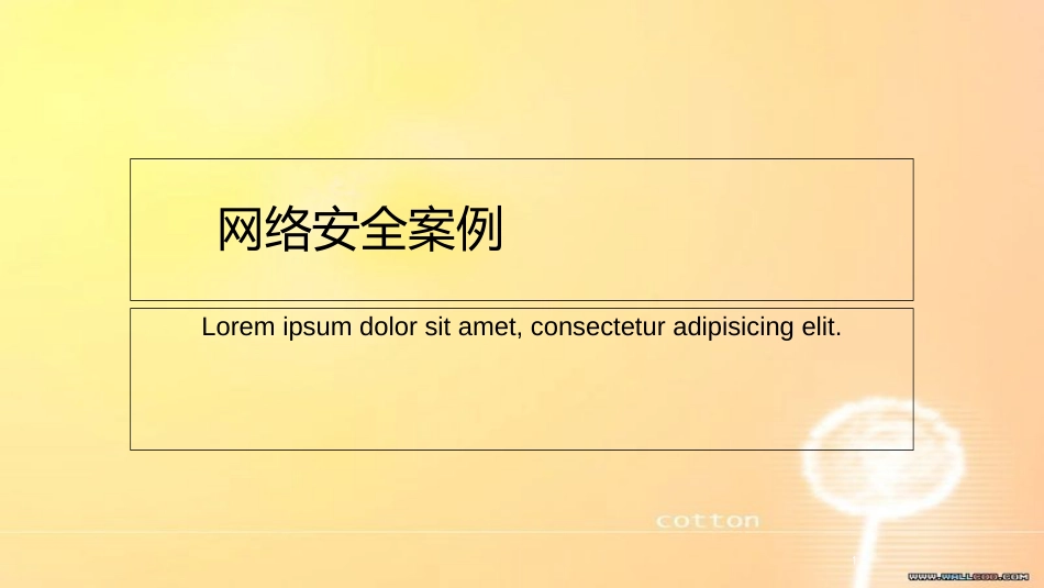 网络安全案例[共15页]_第1页