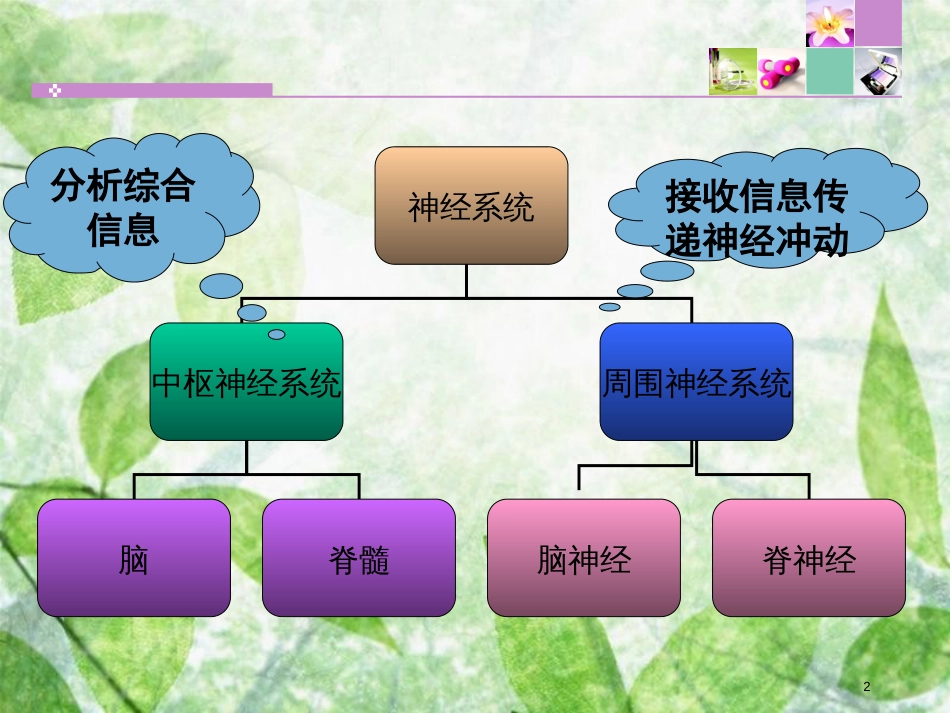 神经系统疾病常见症状体征[共57页]_第2页