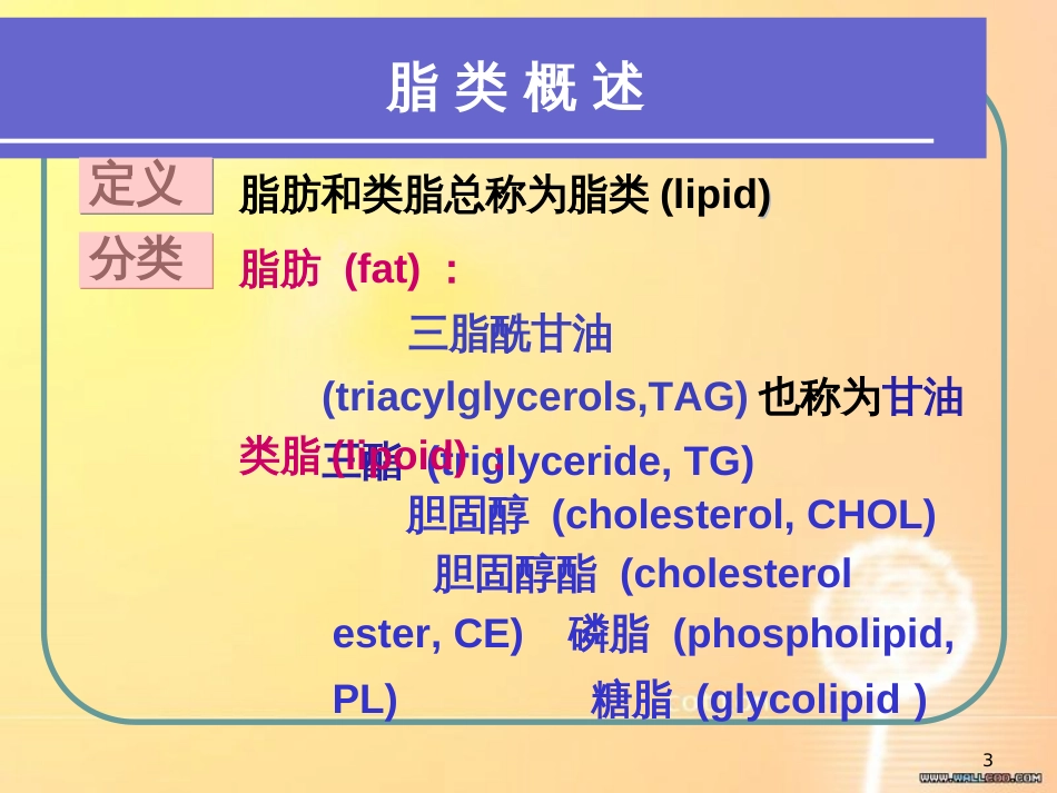 生物化学脂类代谢[共219页]_第3页