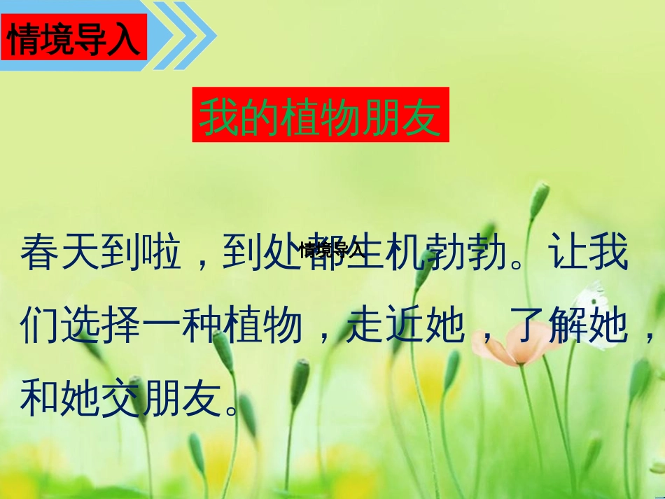 我的植物朋友习作课件PPT[共32页]_第2页