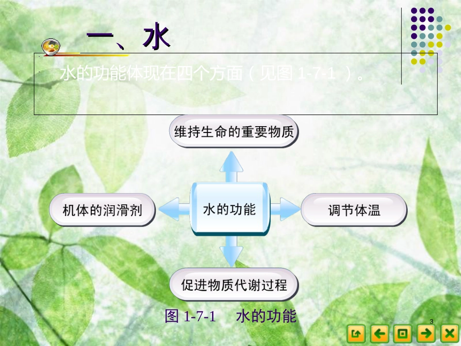 食品营养卫生17人体水分和其他营养成分(精)_第3页