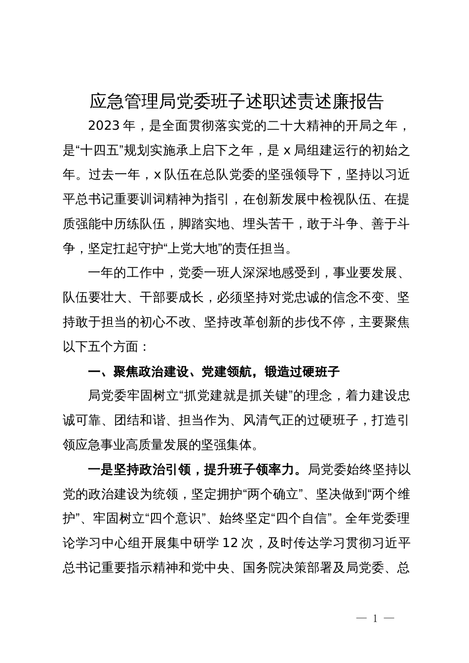 应急管理局党委班子述职述责述廉报告_第1页