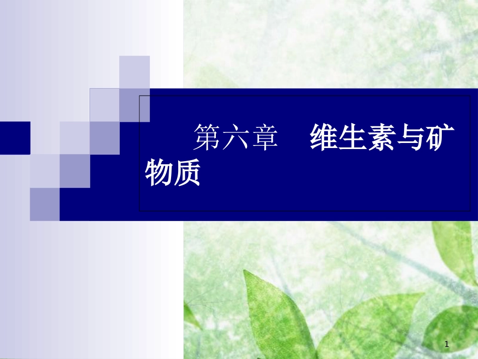 食品化学07第七章、维生素与矿物质剖析_第1页