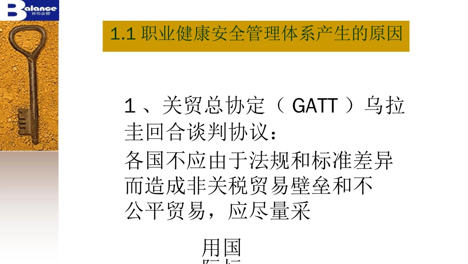 品质管理质量认证OHSAS18001职业健康安全管理体系规范讲义_第3页