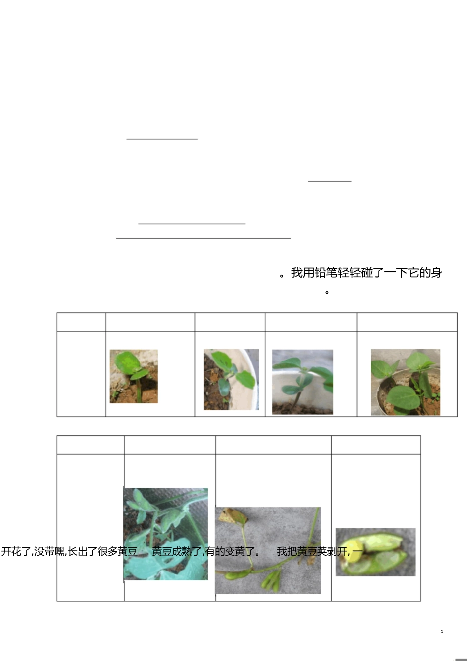 人教版三年级上册科学期中试卷[共7页]_第3页