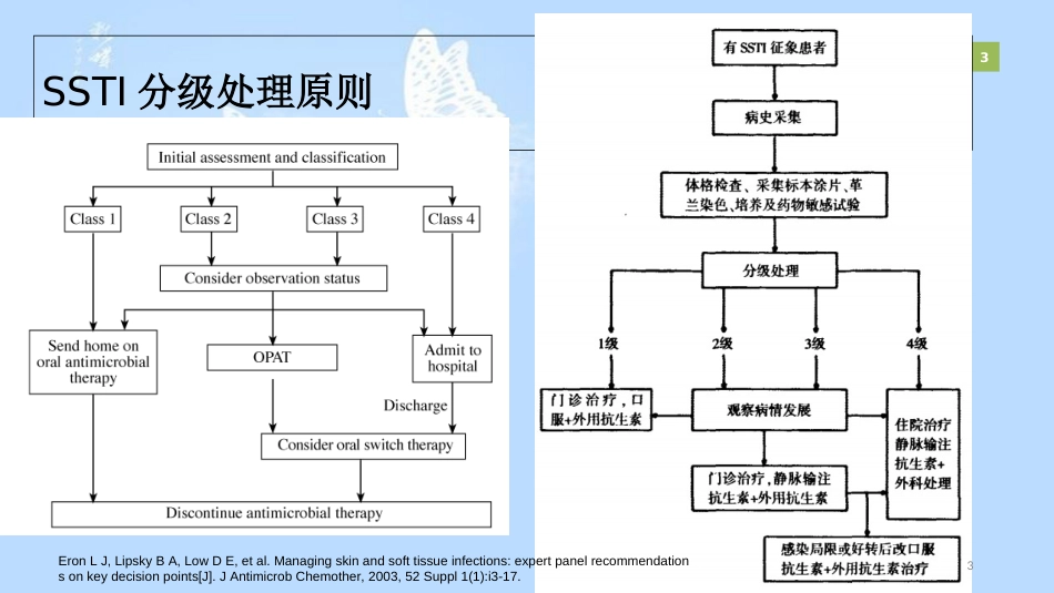 皮肤及软组织感染[共16页]_第3页