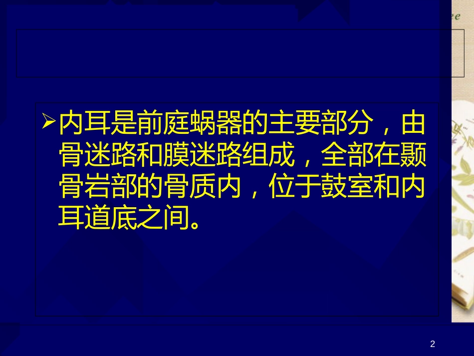 内耳的解剖及MR表现[共32页]_第2页