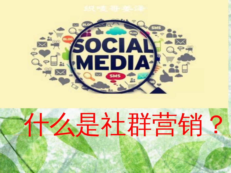 什么是社群营销[共9页]_第1页
