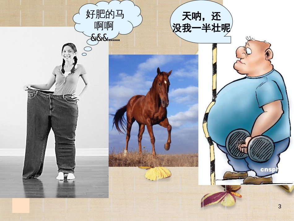 廉洁教育[共21页]_第3页