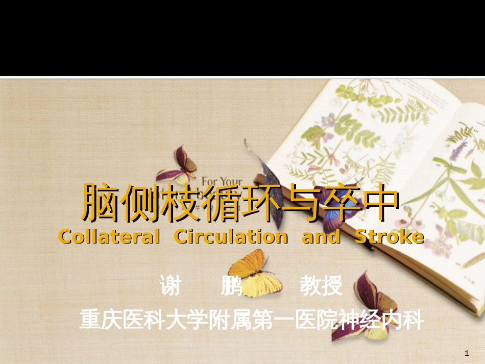 脑侧枝循环与卒中_第1页