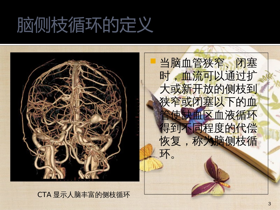 脑侧枝循环与卒中_第3页