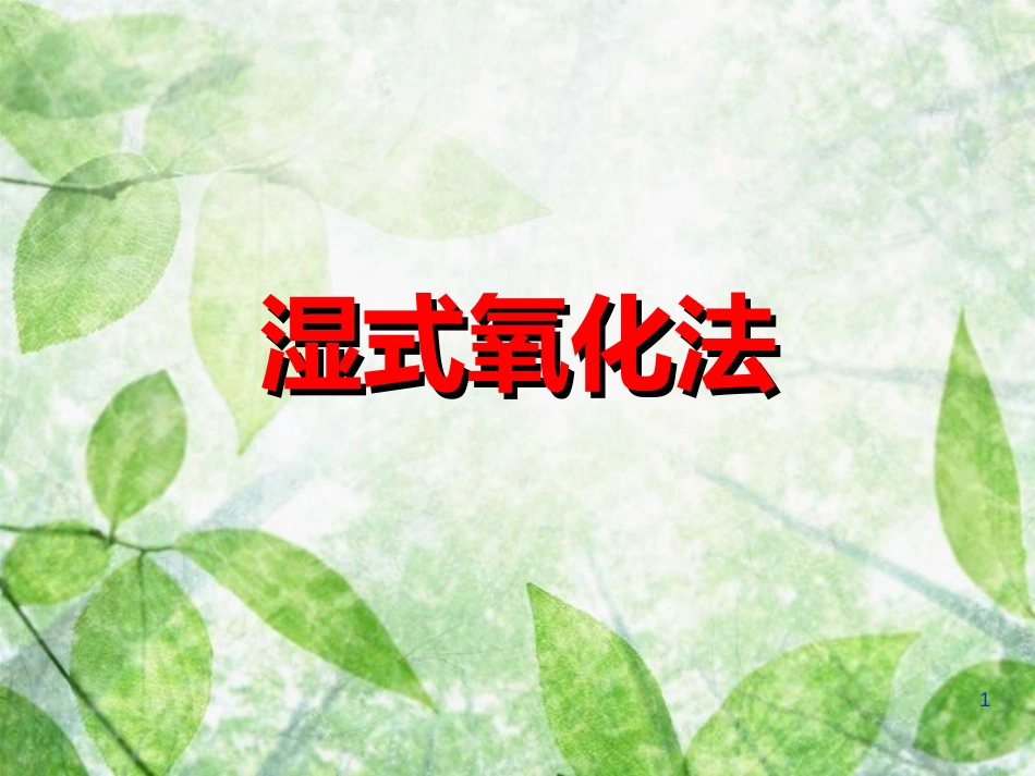 湿式氧化法[共30页]_第1页
