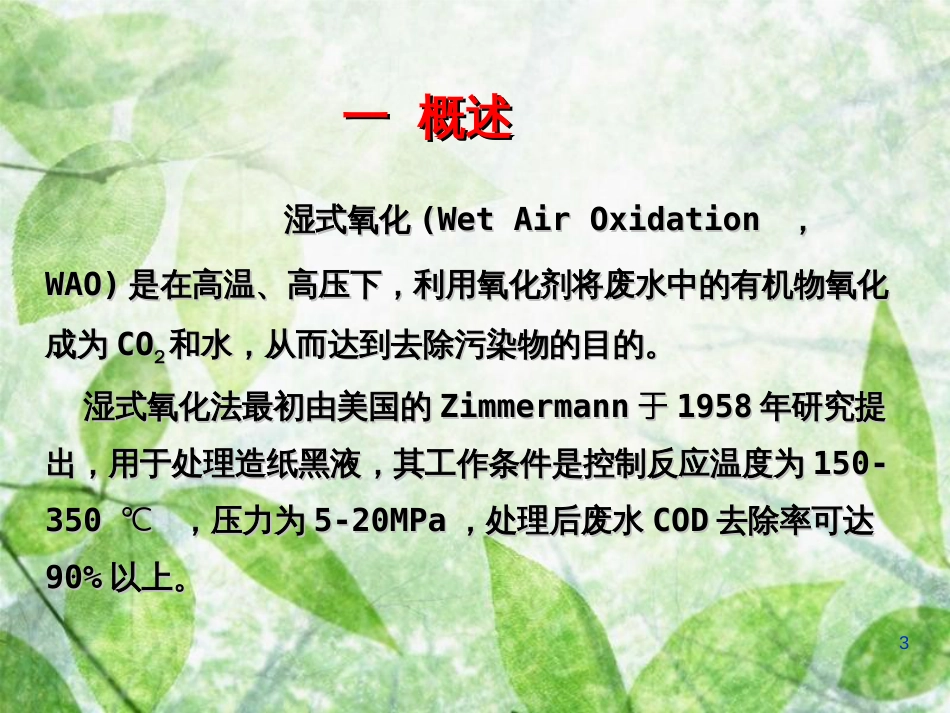 湿式氧化法[共30页]_第3页