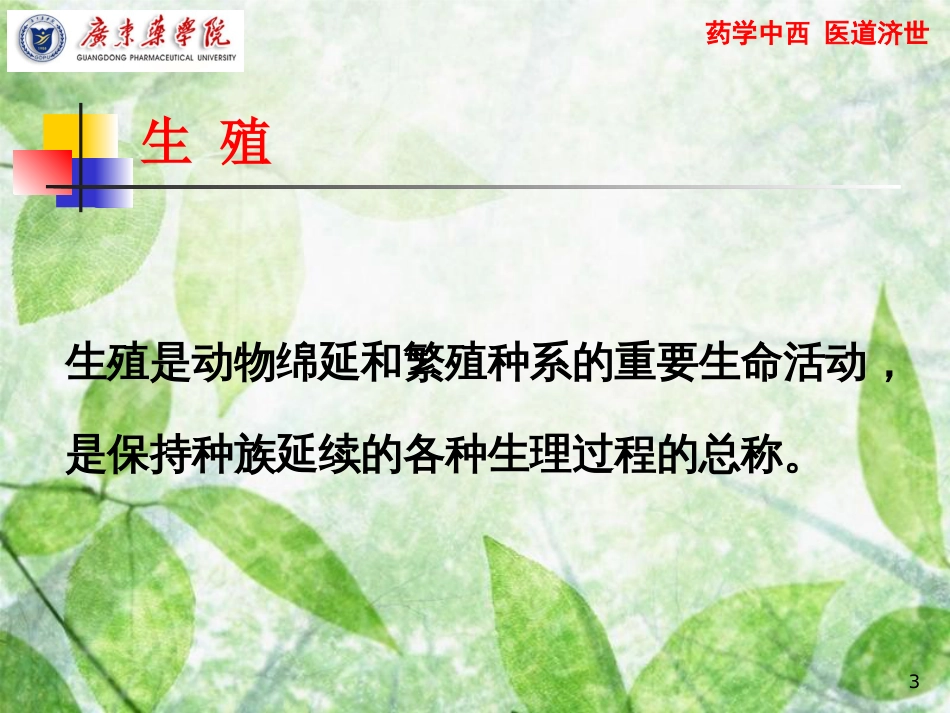 生殖系统-生理学[共17页]_第3页