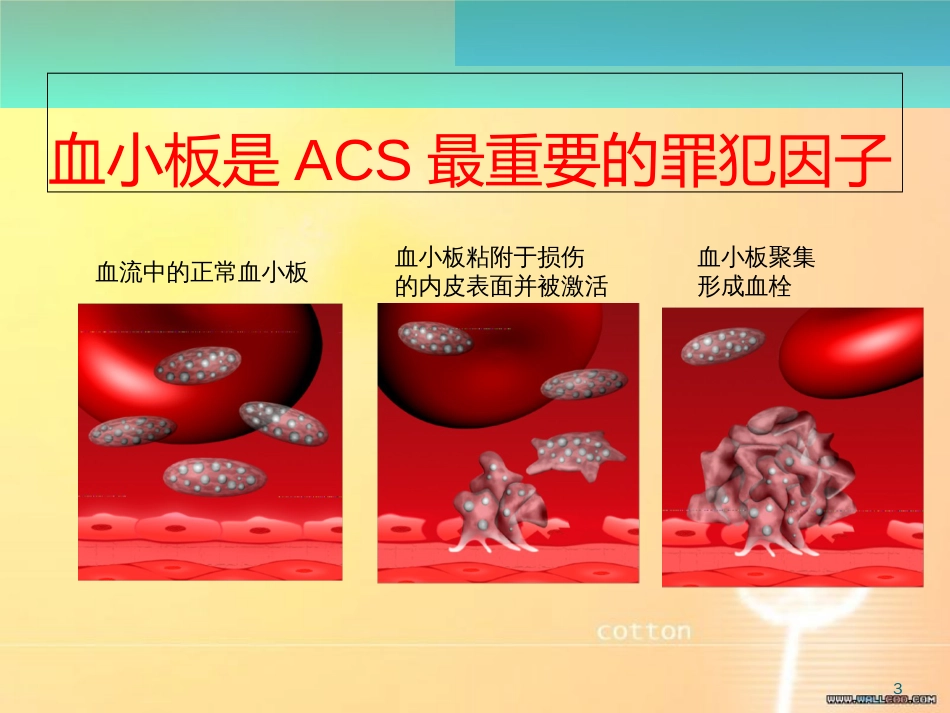 双抗消化道出血[共24页]_第3页