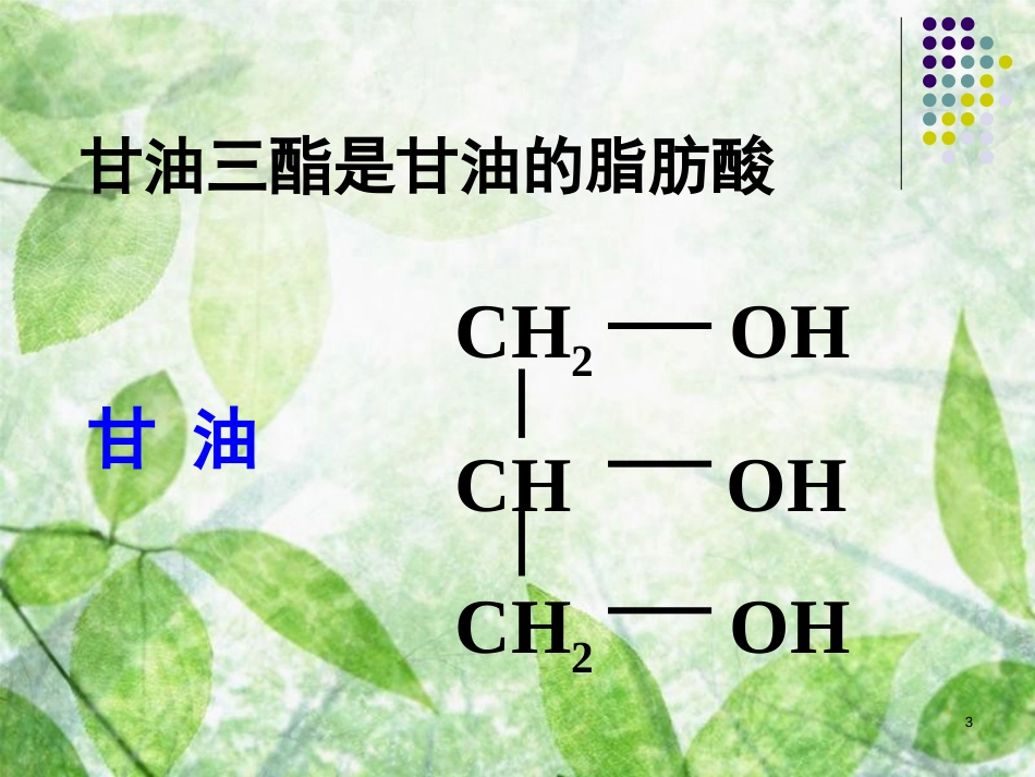 生物化学：脂类代谢(课件)[共160页]_第3页