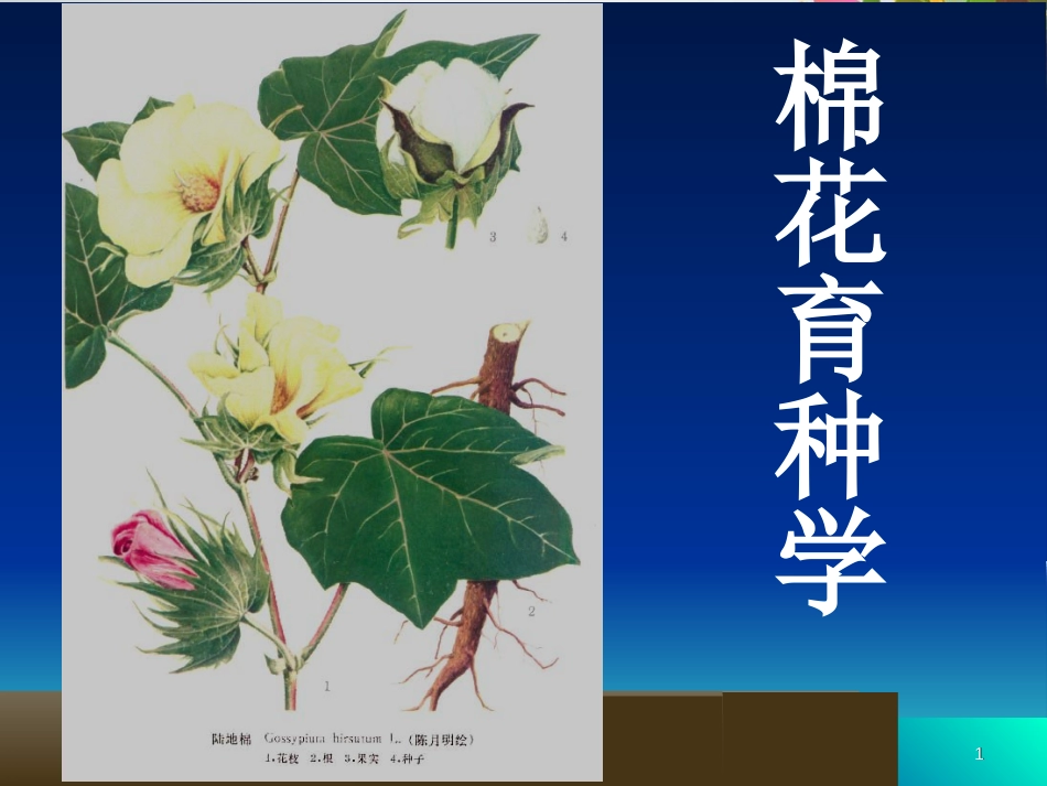 棉花育种学[共144页]_第1页