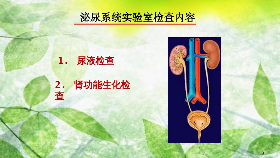 肾功能课件[共40页]_第3页