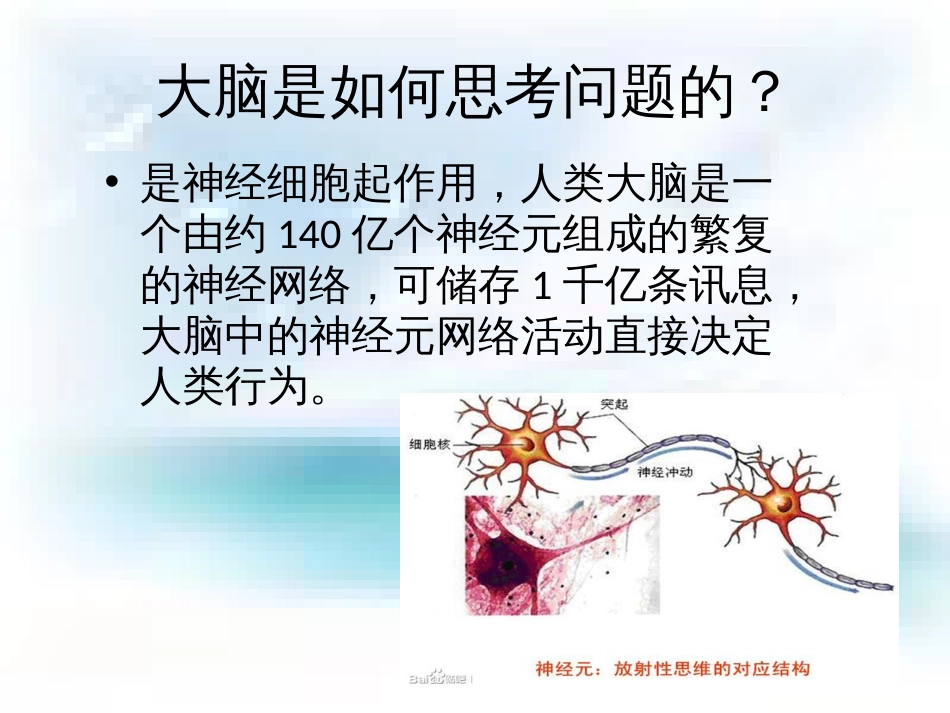 思维导图[共57页]_第2页