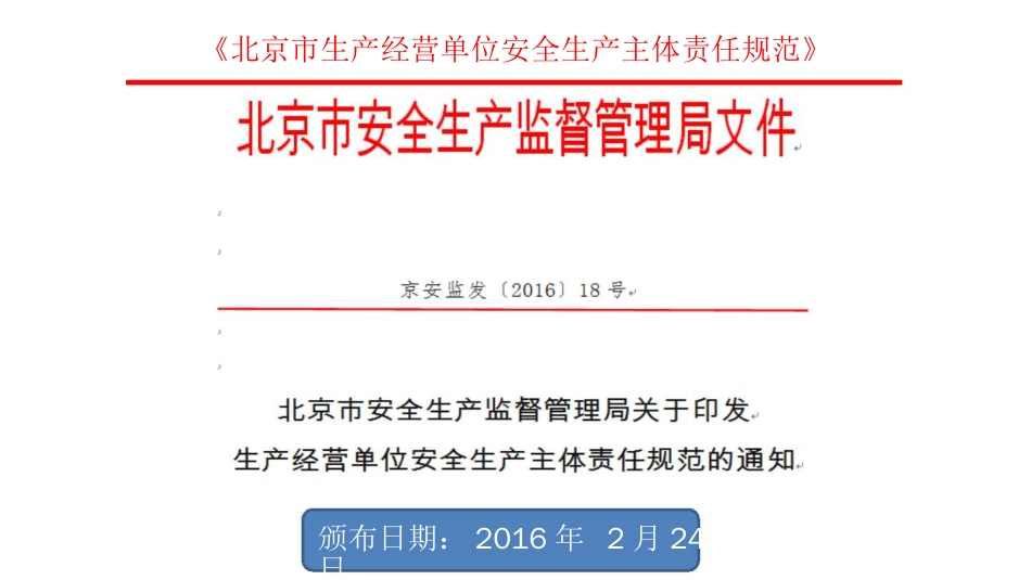 某市生产经营单位安全生产主体责任规范[共44页]_第3页