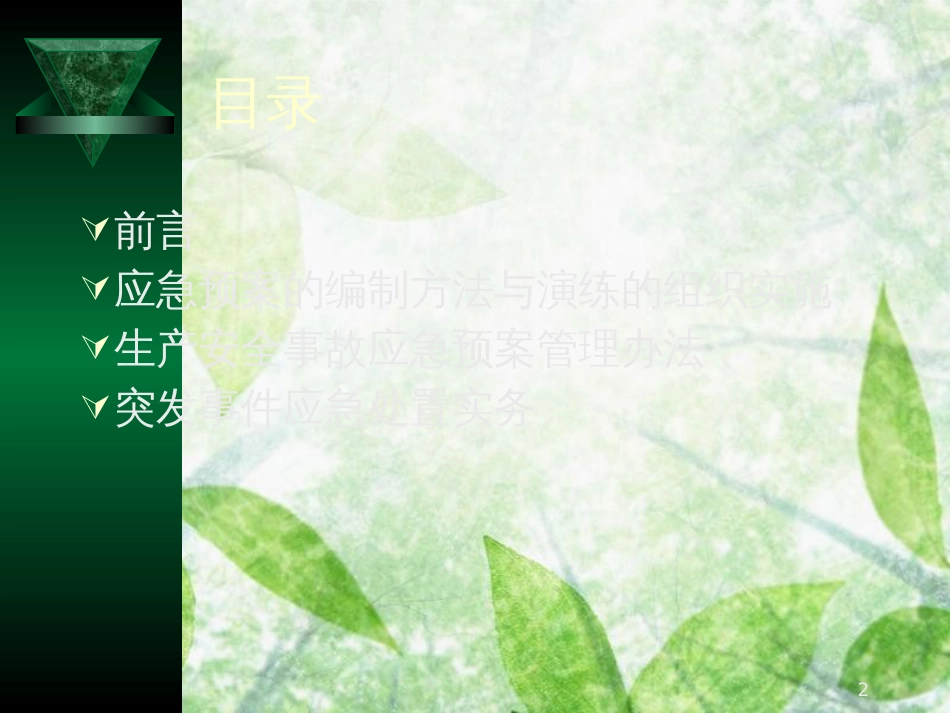 生产安全事故应急管理讲座-安监总局培训中心[共94页]_第2页