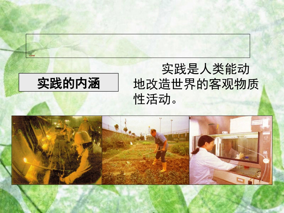 实践在认识中的决定作用(精)[共13页]_第2页