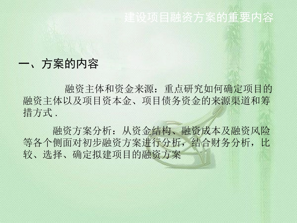 投资建设项目融资方案[共24页]_第3页