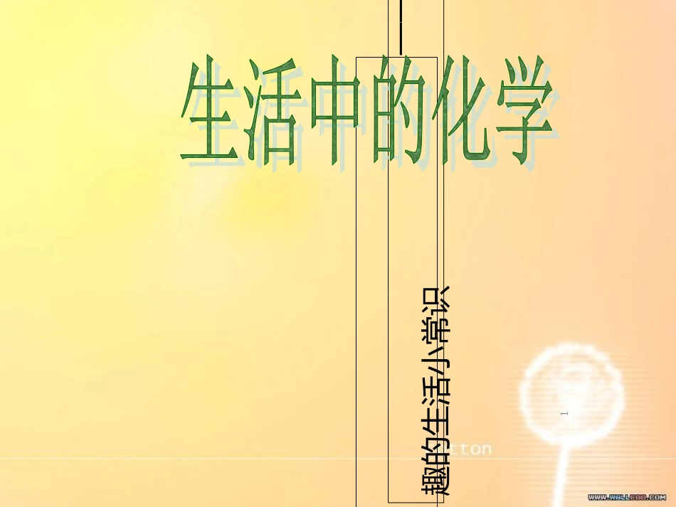 生活中的化学[共30页]_第1页