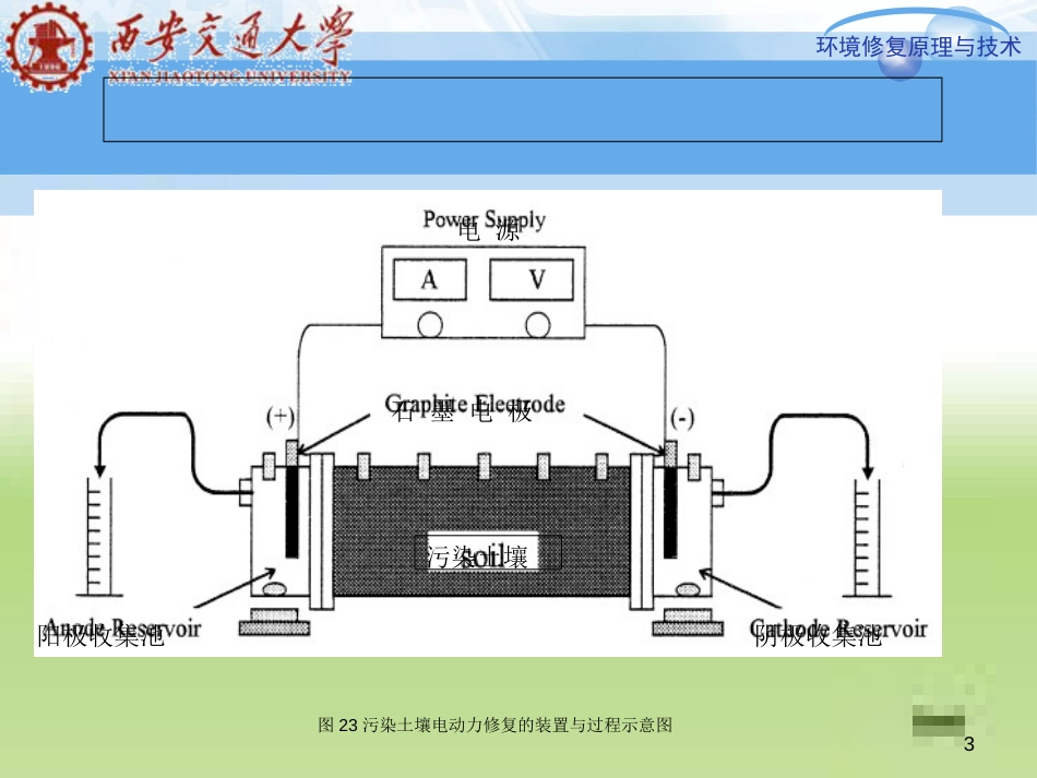 污染土壤生物修复[共123页]_第3页