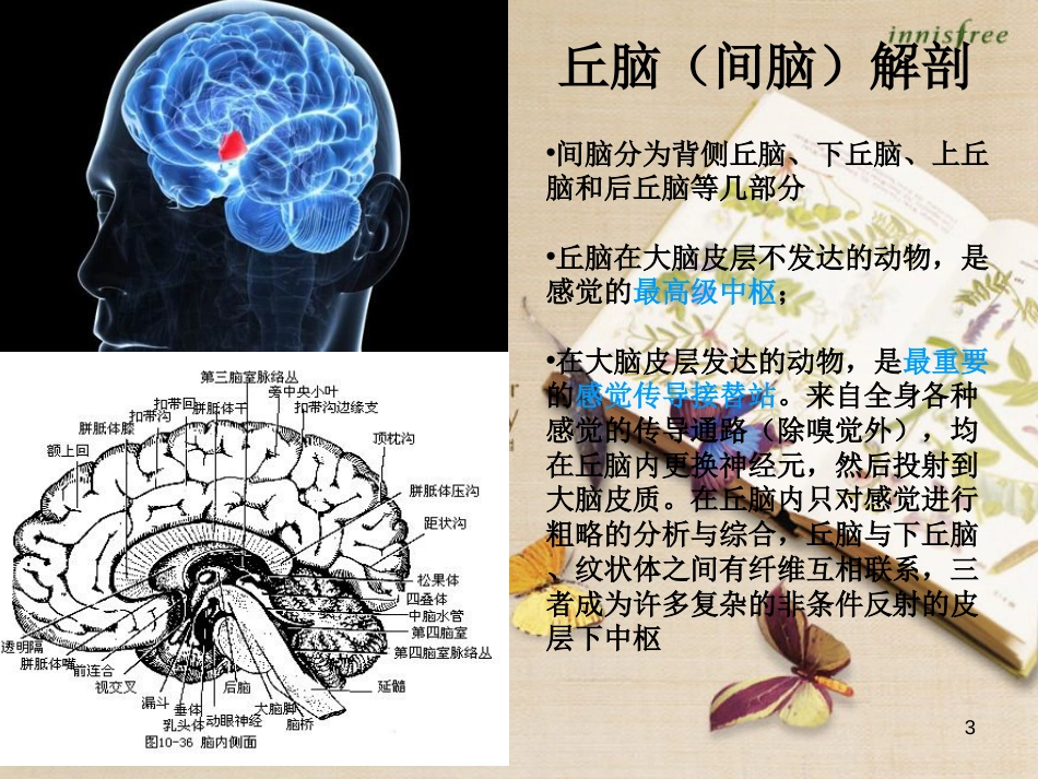 丘脑出血护理[共19页]_第3页