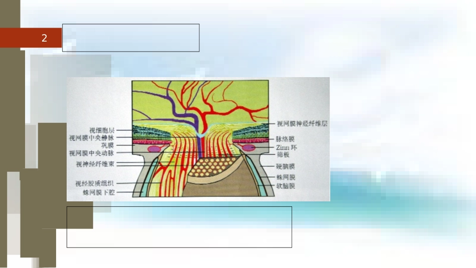 视网膜中央动脉阻塞[共26页]_第2页