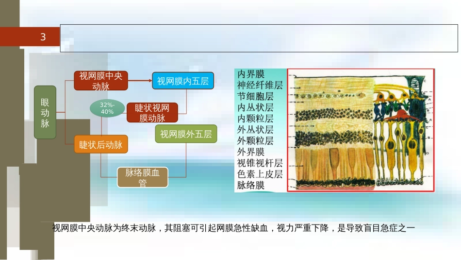 视网膜中央动脉阻塞[共26页]_第3页