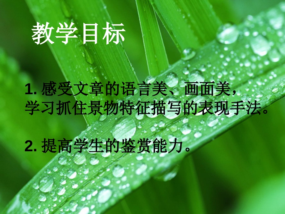 七年语文雨的四季_第3页