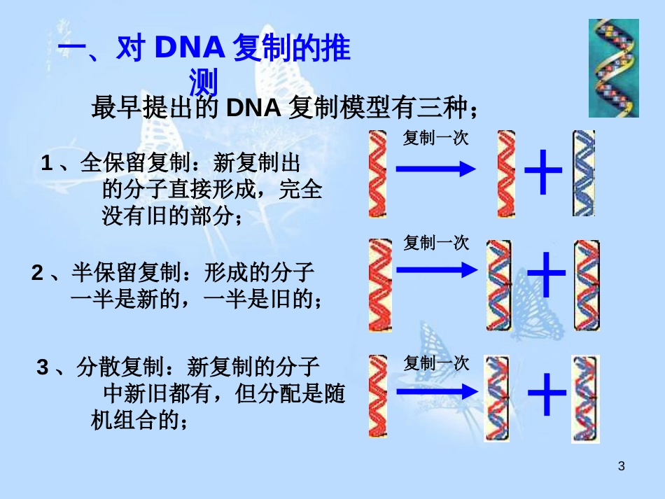 上课用—DNA的复制[共32页]_第3页