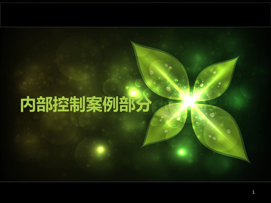 内部控制案例[共70页]_第1页