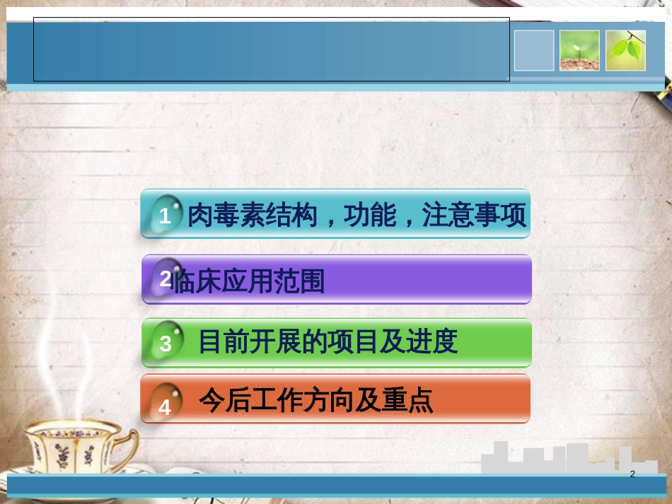 肉毒素注射治疗简介[共21页]_第2页