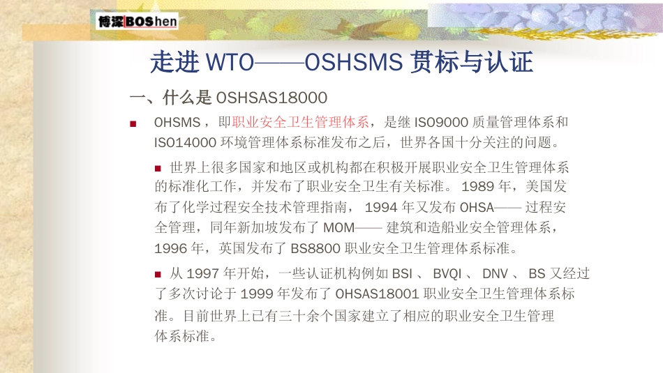 品质管理质量认证OHSAS18000标准概念ppt18页_第1页