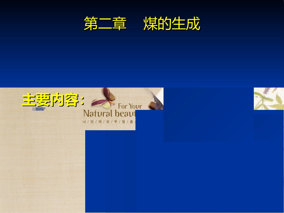 煤化学第二章 煤的的形成_第2页