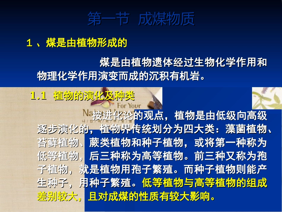 煤化学第二章 煤的的形成_第3页